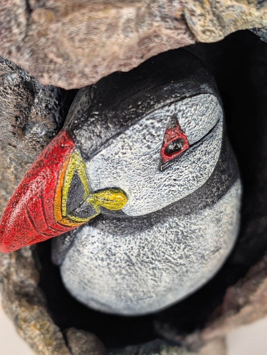 atlantic-puffin-16