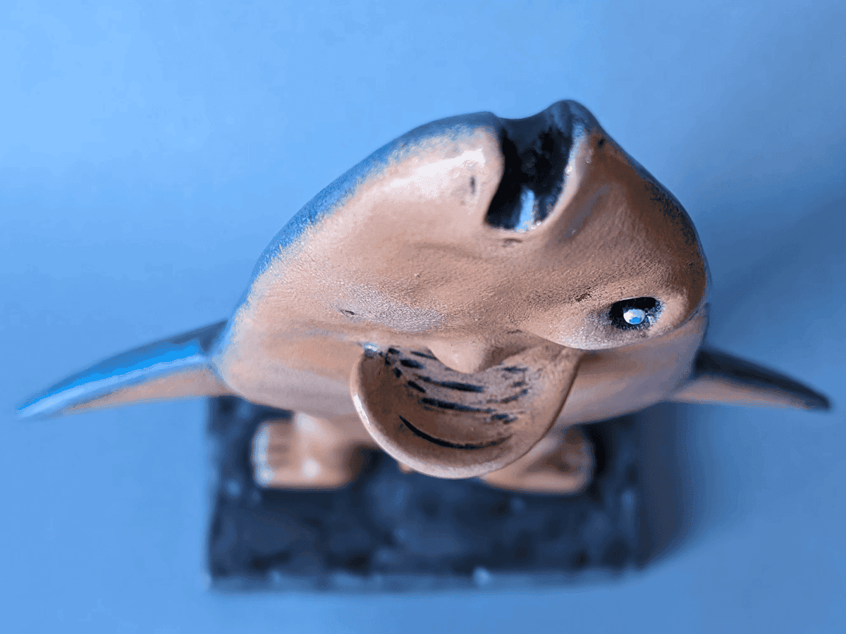sardine-sentinel-evolution-statue-sculpture-05